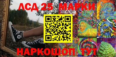 винт Донской