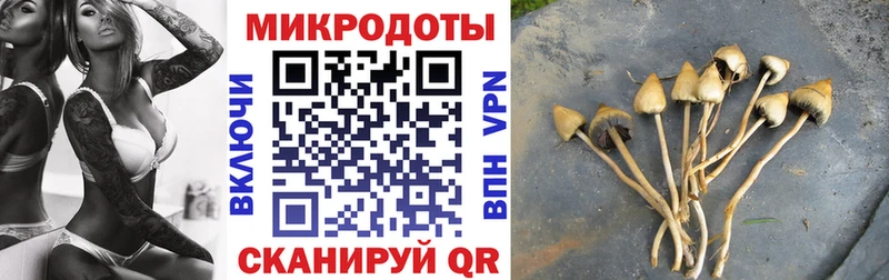 ОМГ ОМГ зеркало  Лысьва  Галлюциногенные грибы Magic Shrooms 