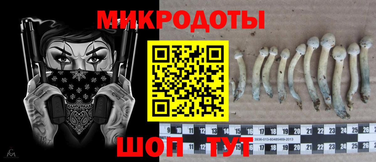 Галлюциногенные грибы мицелий Лысьва