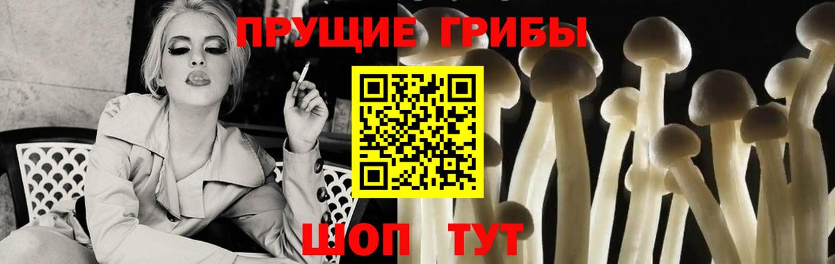 купить   Псилоцибиновые грибы мицелий  Вход с VPN  Лысьва 